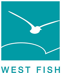 West Fish GmbH
