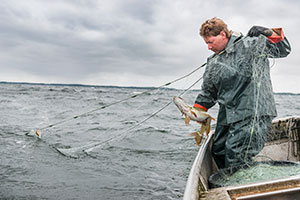 Transgourmet Seafood, Bremerhaven