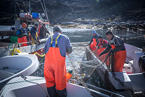 Royal Greenland, Grönland